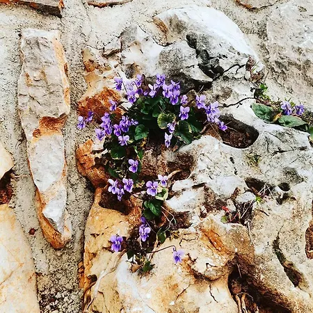 アパート Sandra2 ロヴラン