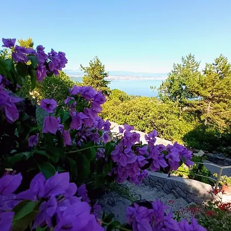 Sandra2 * ロヴラン