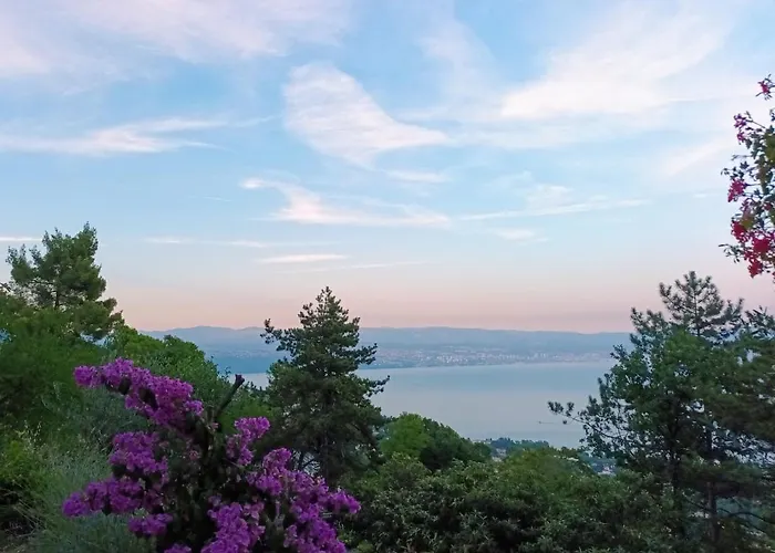 Sandra2 Appartement *