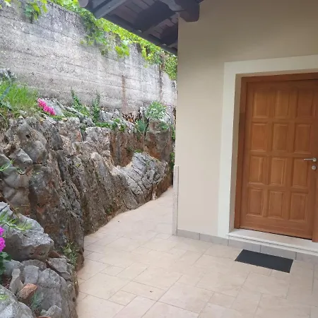 Sandra2 Daire Lovran