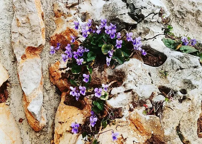 Apartament Sandra2 Lovran